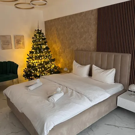 LeCo Studio Brasov-2